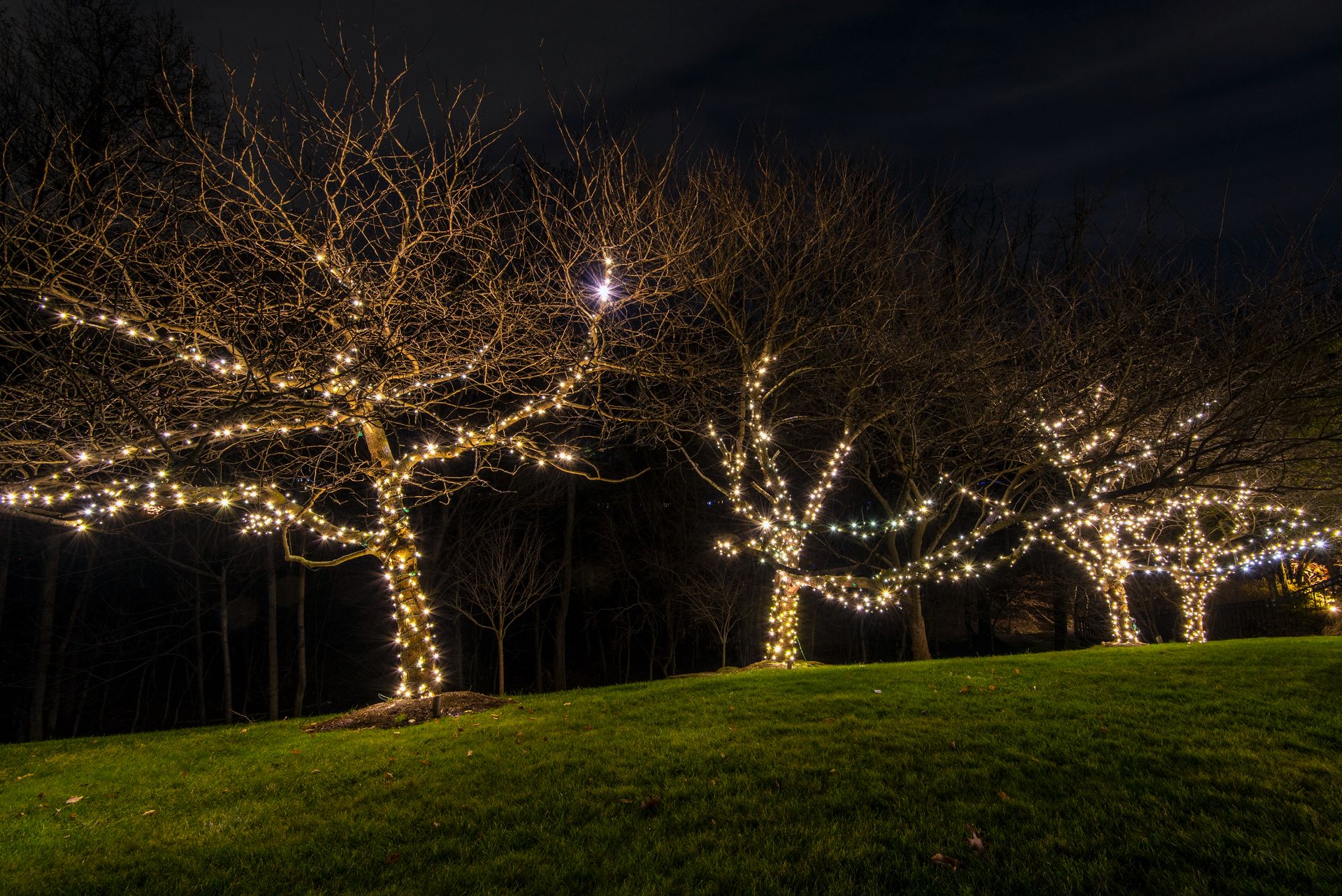 HOA Holiday Decorations – K&H Landscape and Grounds Maintenance