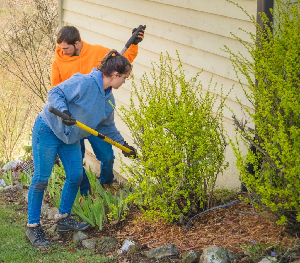 Our Complete Guide To Spring Flower Prep – K&h Landscape And Grounds 